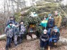 foto - 6