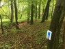 foto - 12