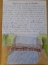 foto - 5
