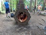 foto - 16