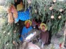 foto - 11