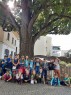 foto - 13